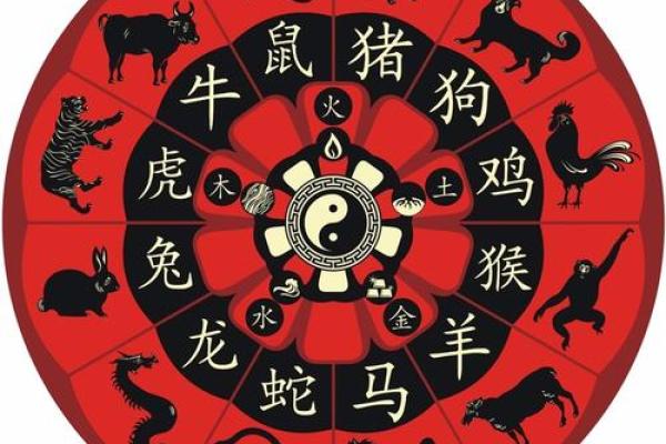 两命五行，生肖命理的深奥之旅