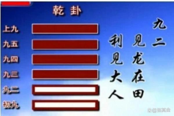命运的奥秘：揭示命余背后的深刻含义与启示