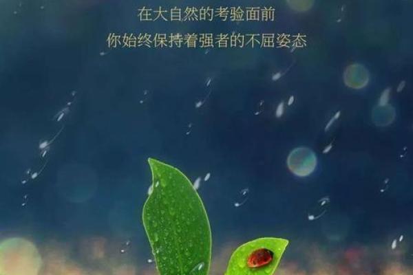 命系悬壶：生命的选择与中医药的智慧交汇