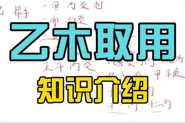 乙未年：探索乙木与未土的命理之旅