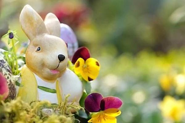 1987年出生的人:命运与性格的独特探秘 1987年出生的人:命运与性格的独特探秘