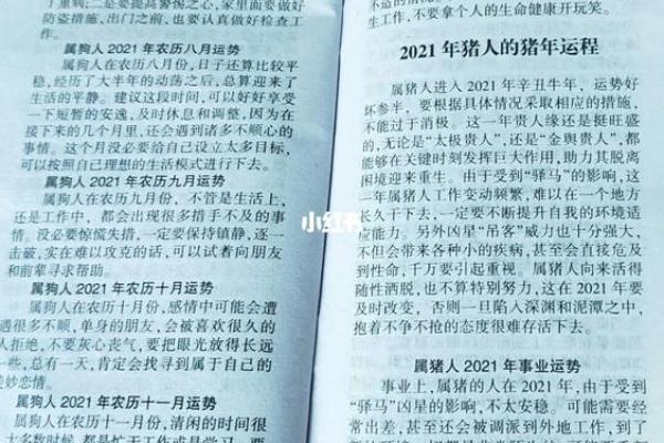 2019年属猪之人:命理揭秘与生活指南 2019年属猪之人:命理揭秘与生活指南