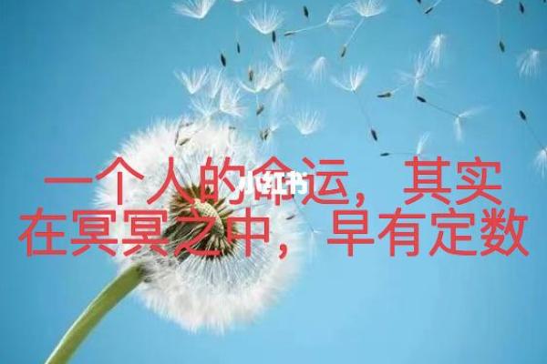 1980年冬月17日:冥冥之中的命运与转折 1980年冬月17日:冥冥之中的命运与转折