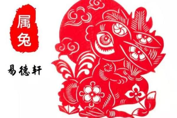 2011年属什么生肖?了解2011年属兔人的命与运势 2011年属什么生肖?了解2011年属兔人的命与运势