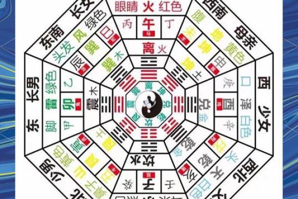 辛亥癸巳庚申乙酉命理解析：五行与命运的奇妙交织