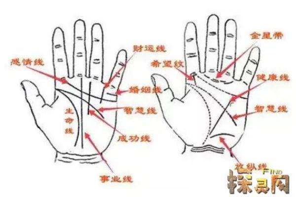 手相中的命运之线：你手上的每一条线都隐藏着哪些秘密？