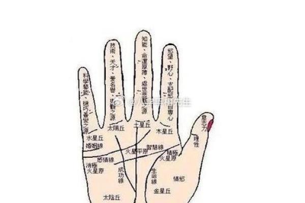 手相中的命运之线：你手上的每一条线都隐藏着哪些秘密？