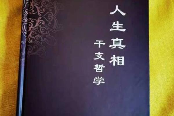 1949年的金命之旅：探寻命运与人生的交织