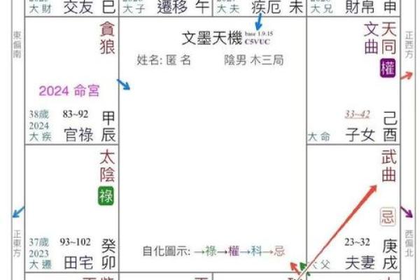 雄霸命格解析：命中注定的风云人物与其命理特征
