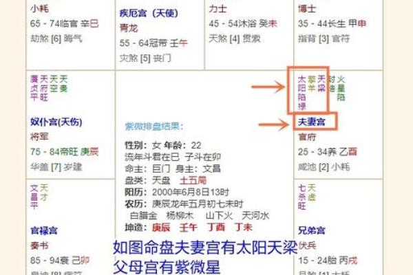 雄霸命格解析：命中注定的风云人物与其命理特征