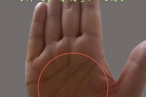 女人手很小是福是祸？揭秘手掌尺寸与命运的秘密！