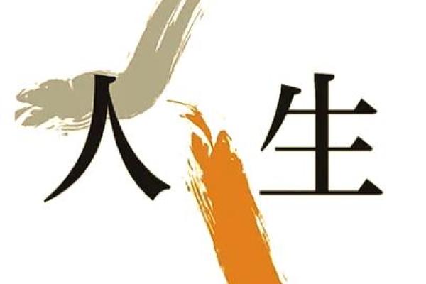 命运与选择：如何在困境中找到自我真实的方向