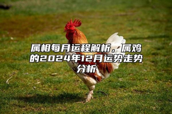 1951年出生的属相与命运解析：热情与机遇并存的精彩人生