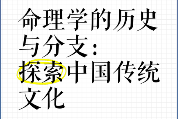 命理学的魅力与智慧：探索人生的指引与运势的秘密