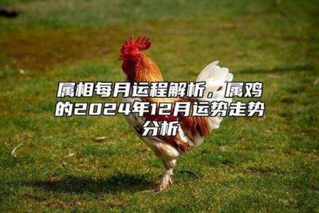 1951年出生的属相与命运解析：热情与机遇并存的精彩人生