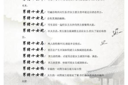 1887年出生的猪年命运解析：富贵与机遇的启示