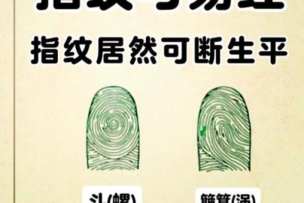 深入分析：2指螺纹的命理象征与人生启示