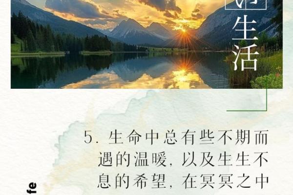 命运的舞台：如何规划人生的每一步