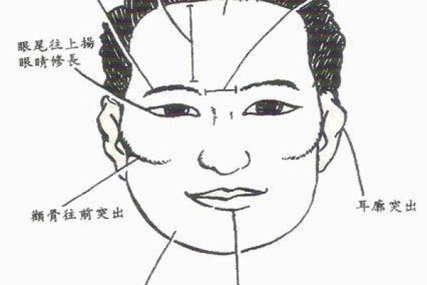 耳朵向前长，命运与性格的深刻关联