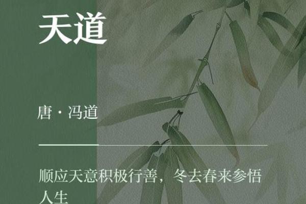 解密1992腊月24的命运之谜：探寻个人命格与人生起伏