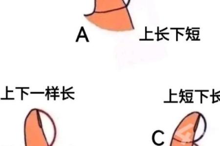 拇指形状与命运：你知道自己的命运指示吗？