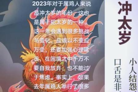 2029年鸡年运势全解析：八字命理与人生启示