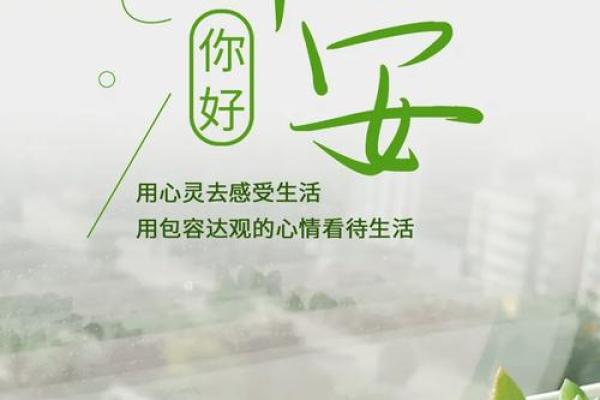 夏季出生宝宝的命运揭秘：如何让他们在阳光下绽放