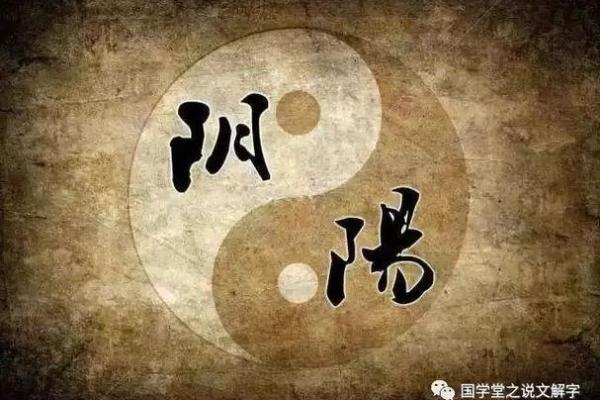 紫命与黄命的区别解析：命理中的玄机与人生哲学