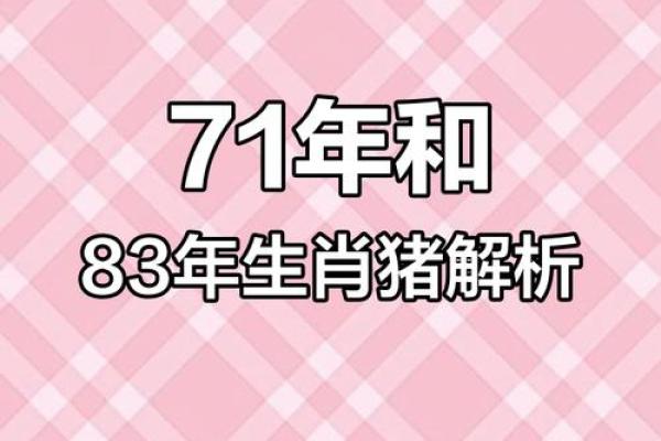 探索1983年属猪人的命运与人生启示