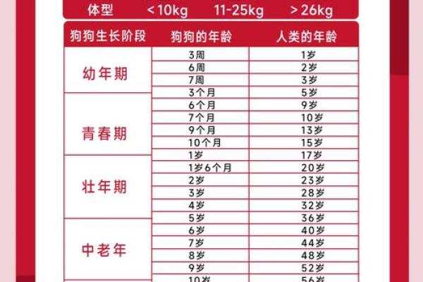 正月出生的狗年命理解析：探秘属狗之人的性格与命运