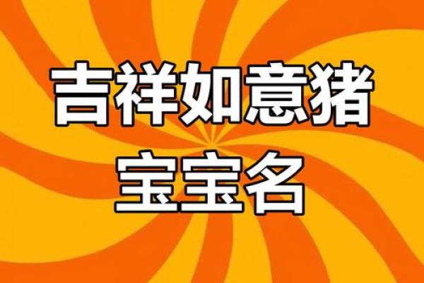 2019年属猪的命运解读：财富、事业与感情的全方位分析