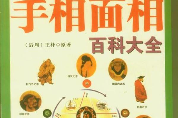 根据手型解析命运：手相与成语的奇妙关联