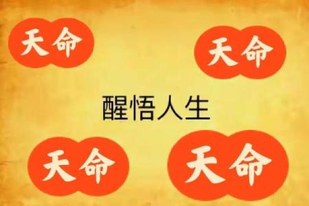命理中的五星命格：揭示人生的五大力量与命运奥秘