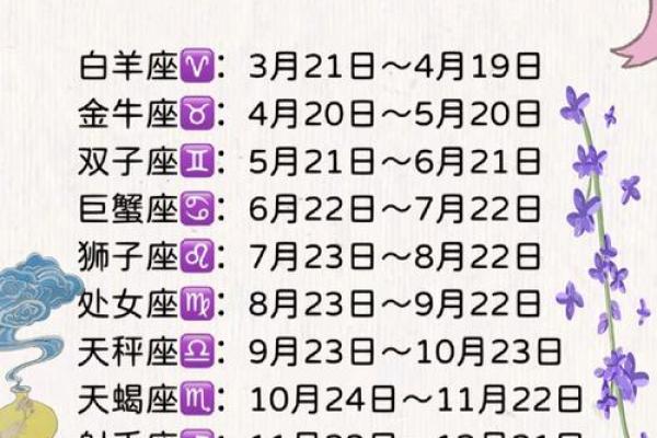 阳历11月出生的人命运解析：魅力与智慧并存的星座之旅