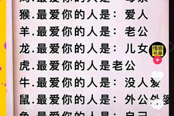属相与命运的奇妙联系：揭示生肖背后的命理密码