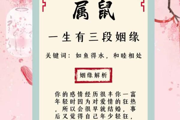 揭秘命理：测姻缘的人命中注定的爱情密码
