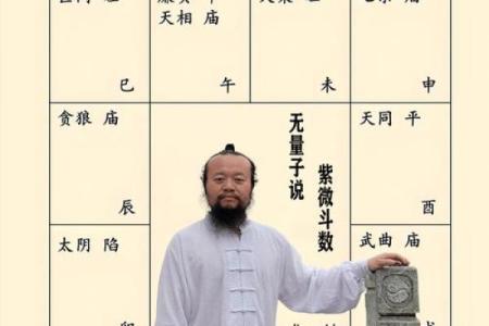 紫薇转世的命理奥秘：探索神秘人生的归宿与使命
