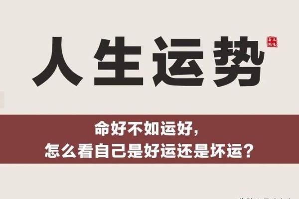 74年腊月26日命理揭秘：探秘岁月中的运势与人生选择