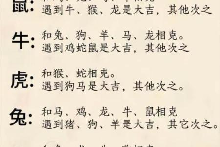 如何根据生肖了解自己的命运和性格特点？
