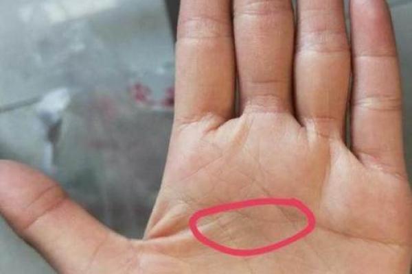 揭秘水仙命格：这一命格的人有哪些独特之处？