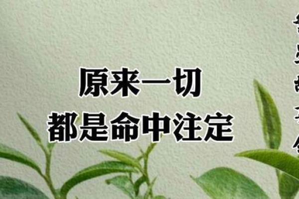 农历8月29日出生的命运解析：命中注定的独特人生旅程