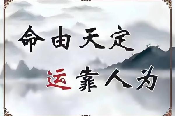 揭示八字命理中的大富大贵命运之谜