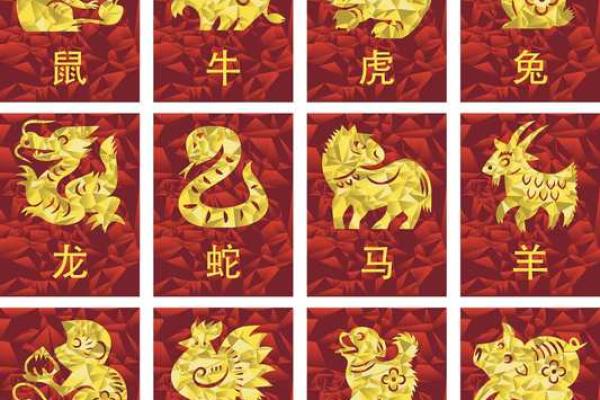 了解1999年兔人的命运：智慧与机遇并存