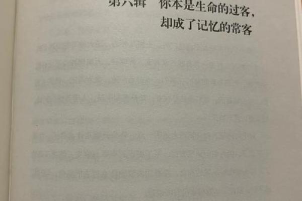 命运如歌，韵律中的坚韧与坚持：探寻《命啊命他硬阿硬》背后的故事与哲理