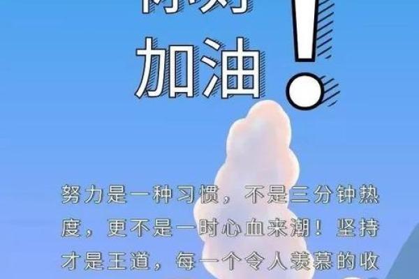 命运如歌，韵律中的坚韧与坚持：探寻《命啊命他硬阿硬》背后的故事与哲理