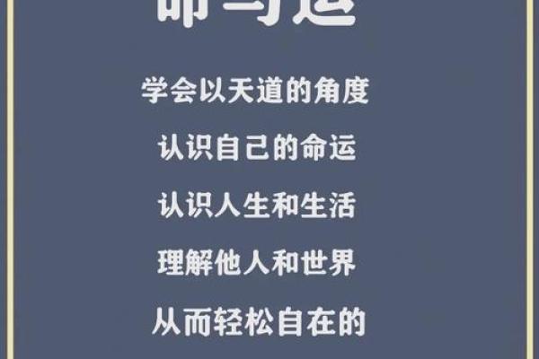 62年11月出生的命运解析与人生智慧分享