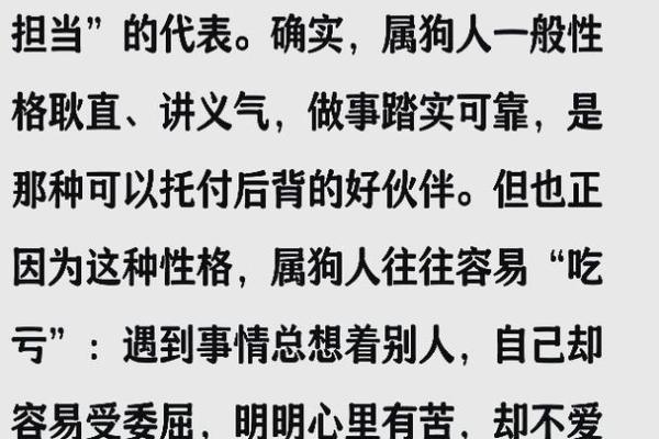 属狗的人最佳命运分析：聪明、忠诚与幸福的结合