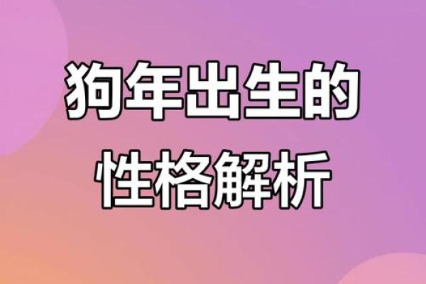 属狗的人最佳命运分析：聪明、忠诚与幸福的结合