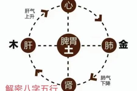 2015年出生的孩子命运解析：如何解读他的五行八字与未来发展