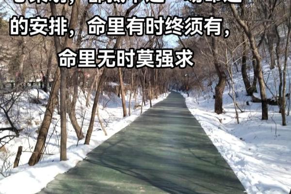 2014年流行的命运与未来人们如何把握人生方向